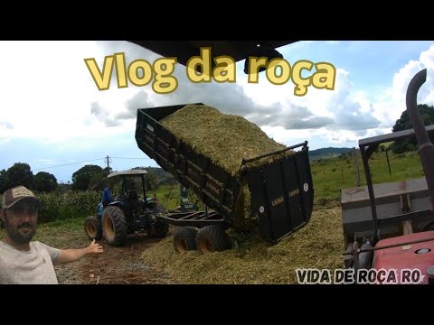 FAZENDO SILAGEM PRO MEU CUNHADO.... DEI UM TREINO TRATOR LS PLUS 80