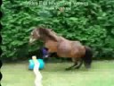 FreeJumping Montey