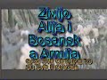 da te nije alija - dino merlin pjeva bosanska armija bosna, bosna to je zemlja nasa najlijepsa na svijetu  
