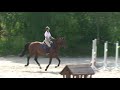 Taillefer de Ste Hermelle