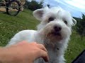 Arko a Deny