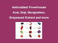 Antiaging rejuvenate