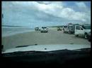 Bribie Flipper Bribie Flipper