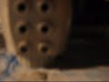 eggs-peter-schilling-major-tom-coming-home.html