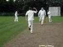 Mold Cricket