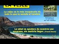 Las etapas de la vida del hombre