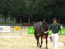 videos de Romina Stutenschau Wickrath 2008