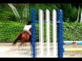 Clayton, Panama, Horseback riding