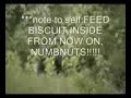 Black Bears & Bigfootbubba: Thanking Subscribers video #2!