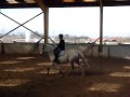 passage dressag galop 6 debut