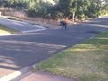 Pocket bikes