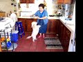 Chiquis Dancing