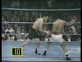 Carlos Palomino v Toshiharu Nambu