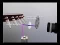OLD VERSION: Rotor-Gene 6000 real-time analyzer 3D animation
