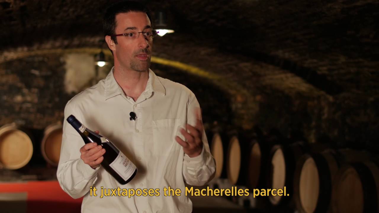 Bouchard Ainé & Fils - Chassagne-Montrachet Premier Cru “Les Chenevottes”
