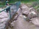Dog Park Damaged Pt 1