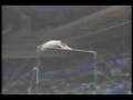 videos de Pae Gil Su HB 1991 Universiade