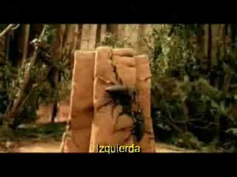 rammstein links 234 (subtitulado)