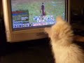 Samwise loves LOTRO