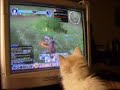Samwise loves LOTRO