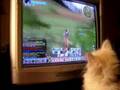 Samwise loves LOTRO