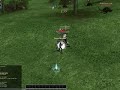 Rappelz Pet Bug