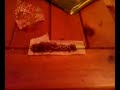 rolling joints