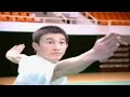 Wushu For The Olympics 2008