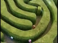 Trigger Happy TV hedge maze