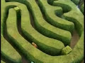 Trigger Happy TV hedge maze - Thumb #3