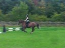 Combo Jump in field...