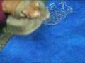 videos de BBC World Challenge 2008 - Nepal - Shanti Sewa Griha