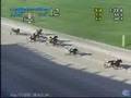 Somebeachsomewhere - Confederation Cup Final