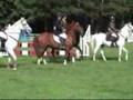 Last Windsor on Talulah