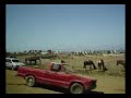 Ensenada Bufadora