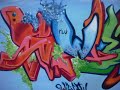SWIEN FLU