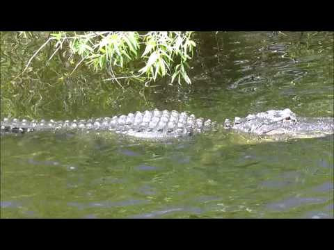 Everglades National Park, Florida