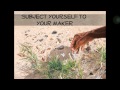 "CHOSEN" by Ronnie Chancellor (from the Band ...