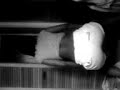 LiiZZii3 BAB3Sz .. STUDiiO LOV3 ..