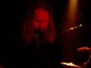 ulme live in schwerin germany