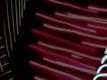 videos de Seven: Abby Saathoff