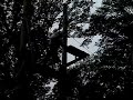 Glenwood Mission Trip Ropes Course Video