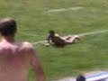 Curros Romero: Universitario 2008 Rugby
