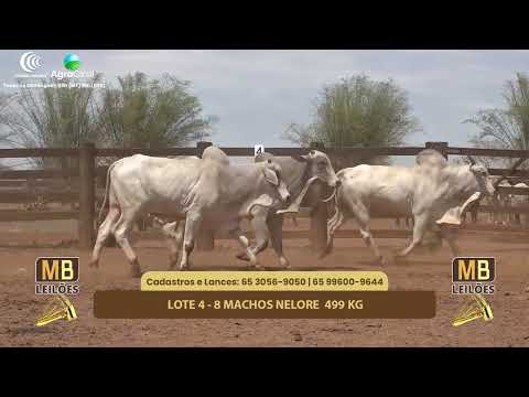 518 LEILO VIRTUAL MB LEILES