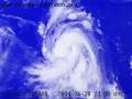 videos de Typhoon Ting-Ting/2004