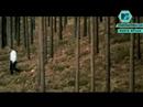 Coldplay on Coke - The Scientist