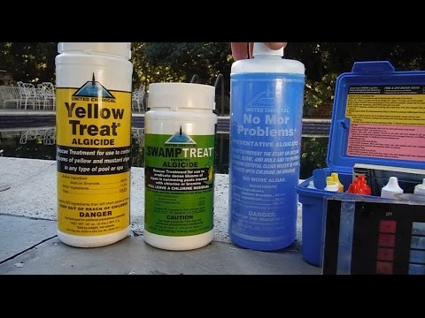 video-linktoworks-What Causes Algae in a pool & How to Treat and Prevent...