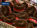 TOKYO MX NEWS　2008/10/24http://www.mxtv.co.jp/mxnews/