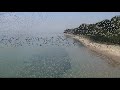 Ultralight Flying with Ed Finegold