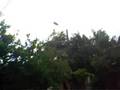 videos de Tormenta